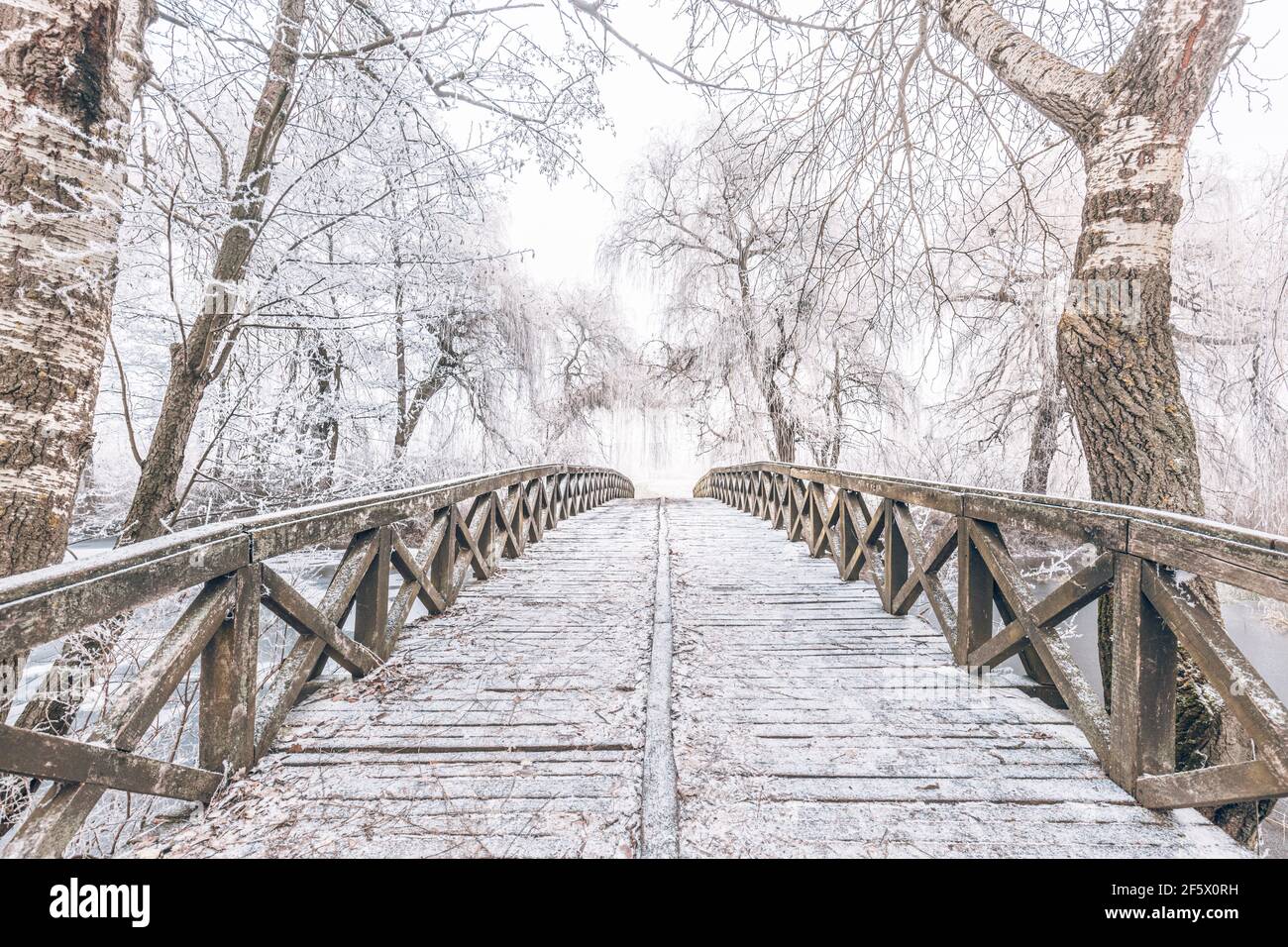 Snowy, wooden bridge in a winter day. Frozen lake and snowy trees, idyllic seasonal winter scenery. Winter landscape, relaxing and calmness view Stock Photo