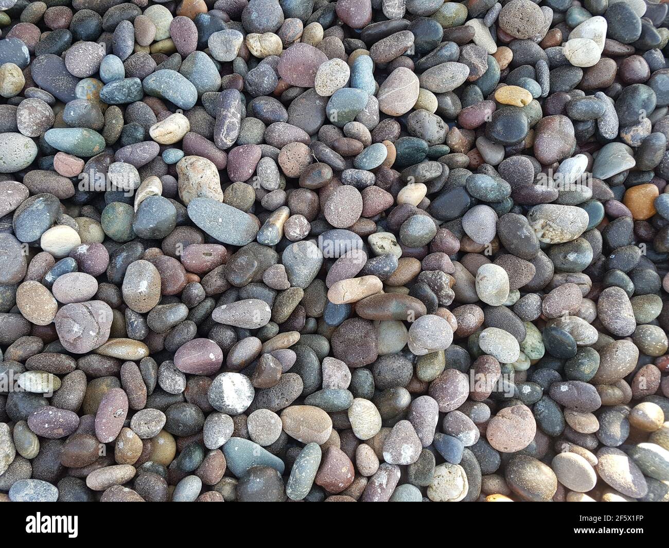 natural pebbles stones, grey gravels beach background. Stock Photo