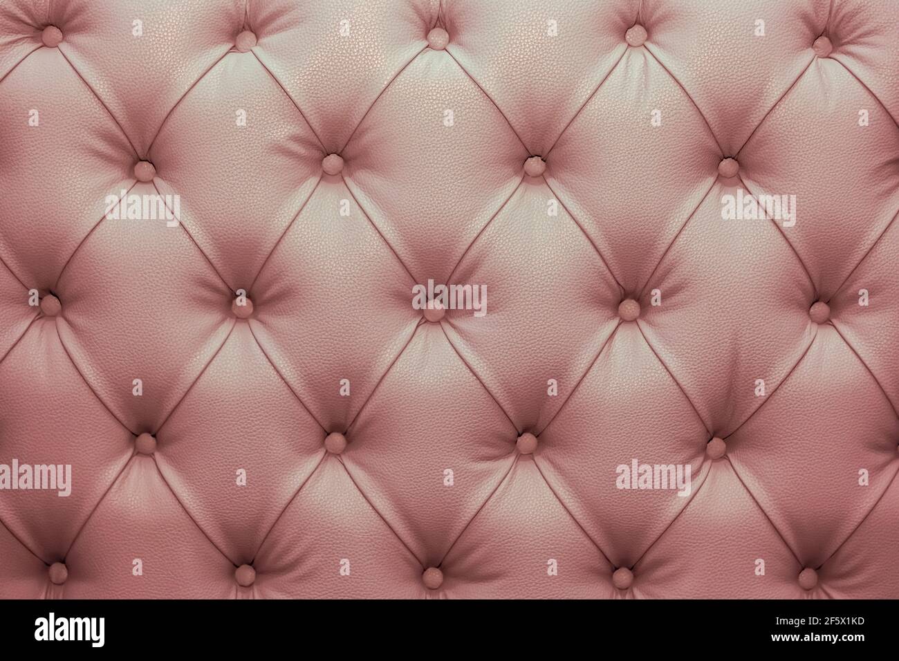 Light pink leather sofa with texture background buttons. Stock Photo