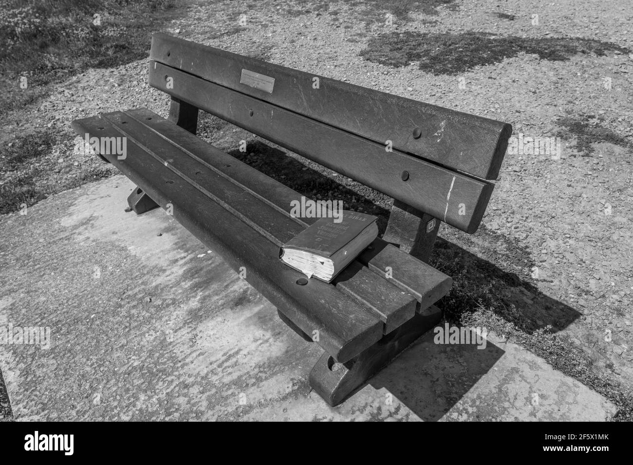 Bench with a bool in West Bay, Broadchurch, United Kingdom Stock Photo