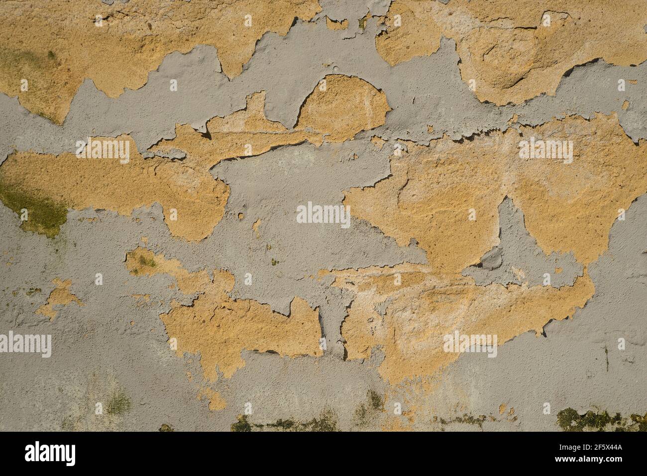 Peeling paint from a cement render / stucco wall, possibly lacking