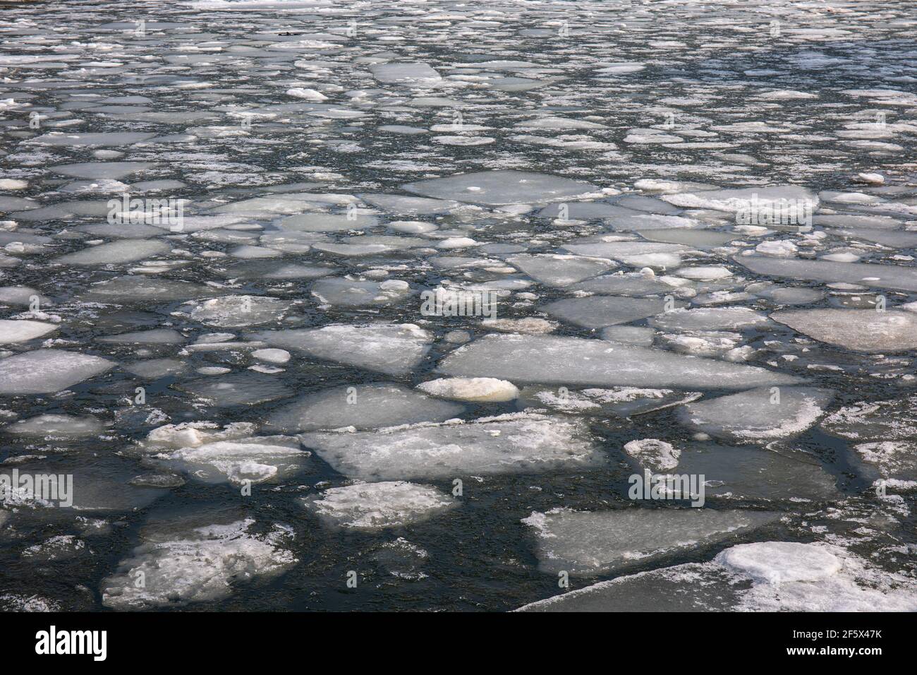 Ice floes on Hietalahti Bay in Helsinki, Finland Stock Photo