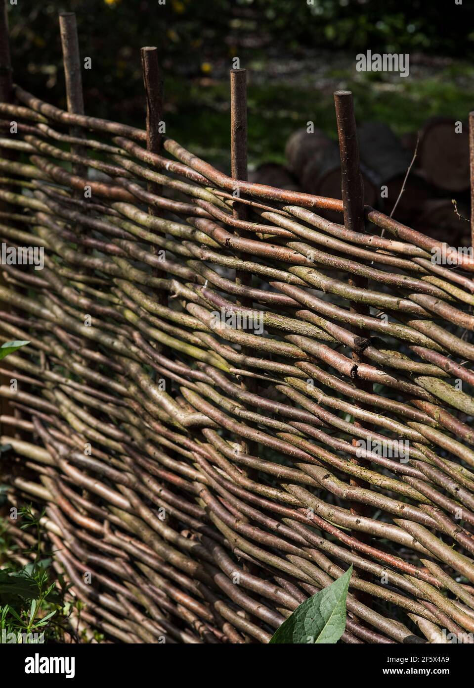 Traditional hand woven fencing panels or hurdles made from Hazel ...