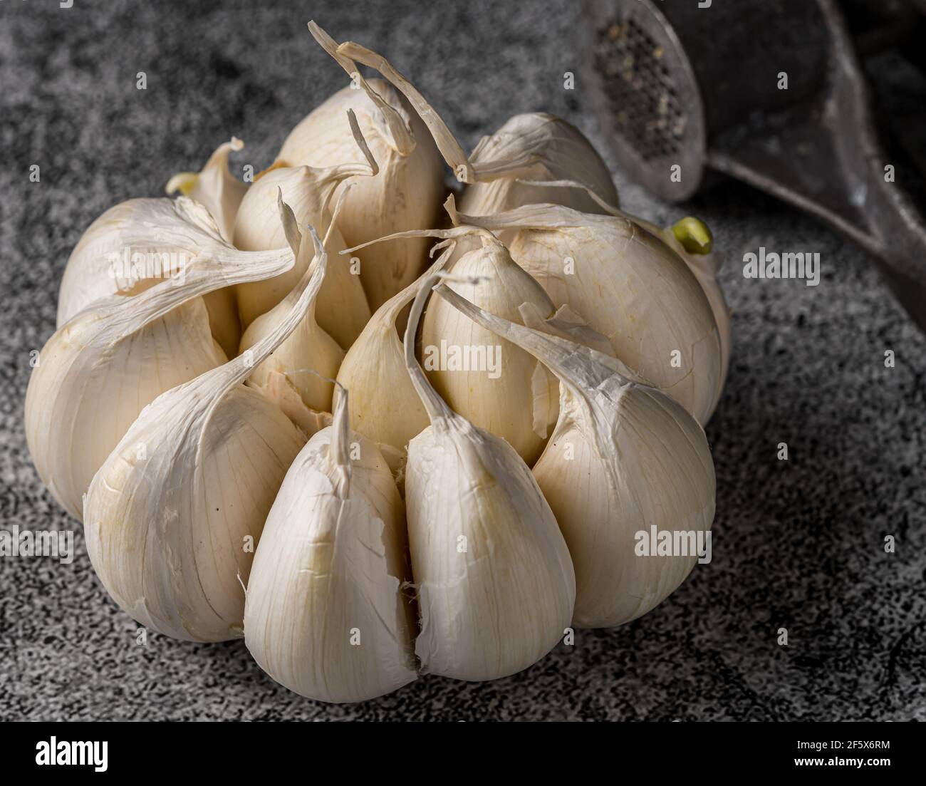 Garlic bulb and a garlic press. Stock Photo