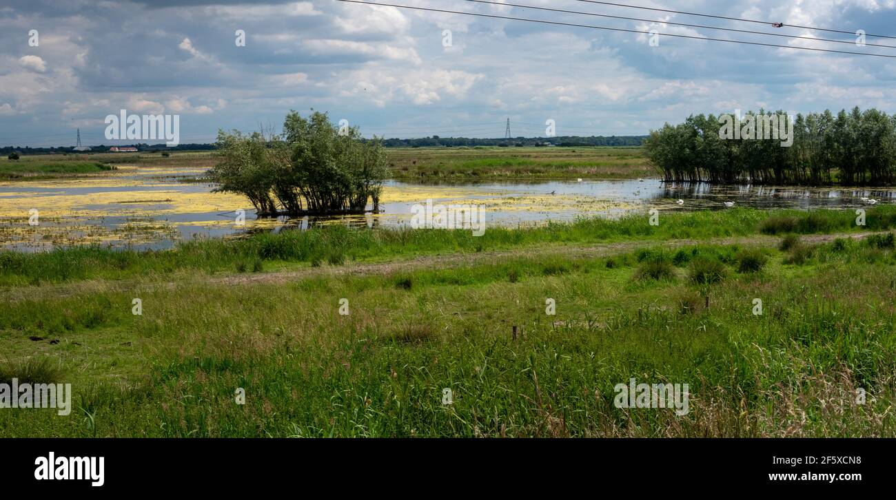Marshy wetlands and lake near Reach Lode near Wicken Cambridgeshire Stock Photo