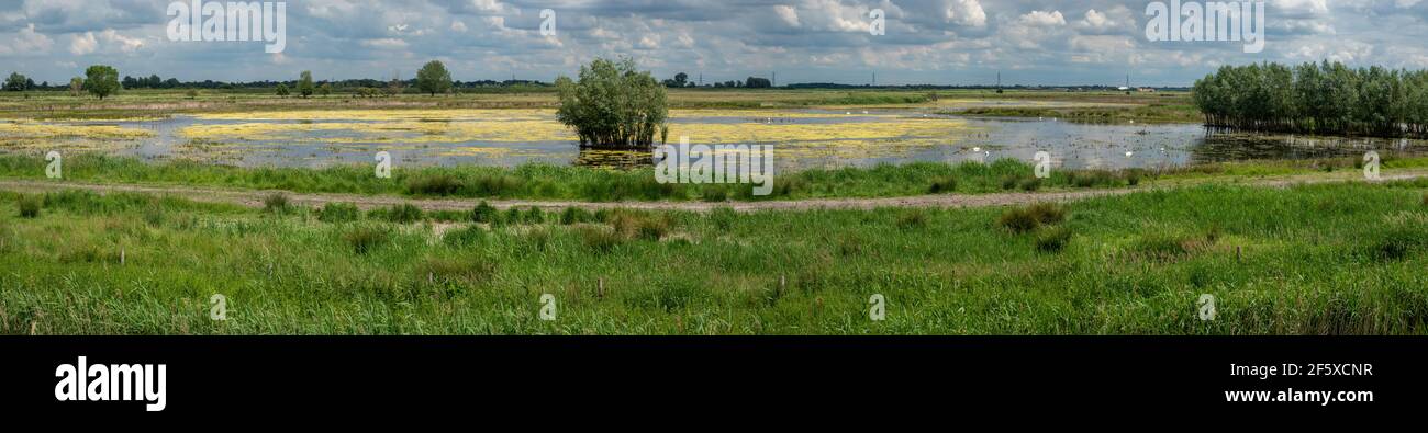 Marshes wetlands and lake  near Reach Lode near Wicken Cambridgeshire Stock Photo