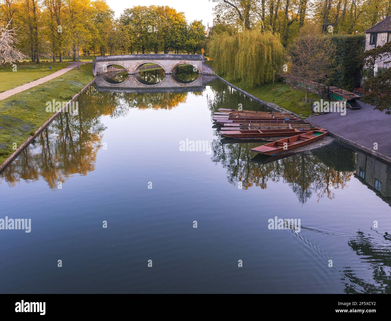 Trinity College punts moored on the River Cam with reflections of the Avenue bridge in Cambridge England Stock Photo