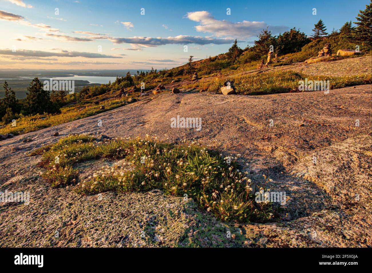 View from Cadillac Mt., Acadia National Park, Maine Stock Photo