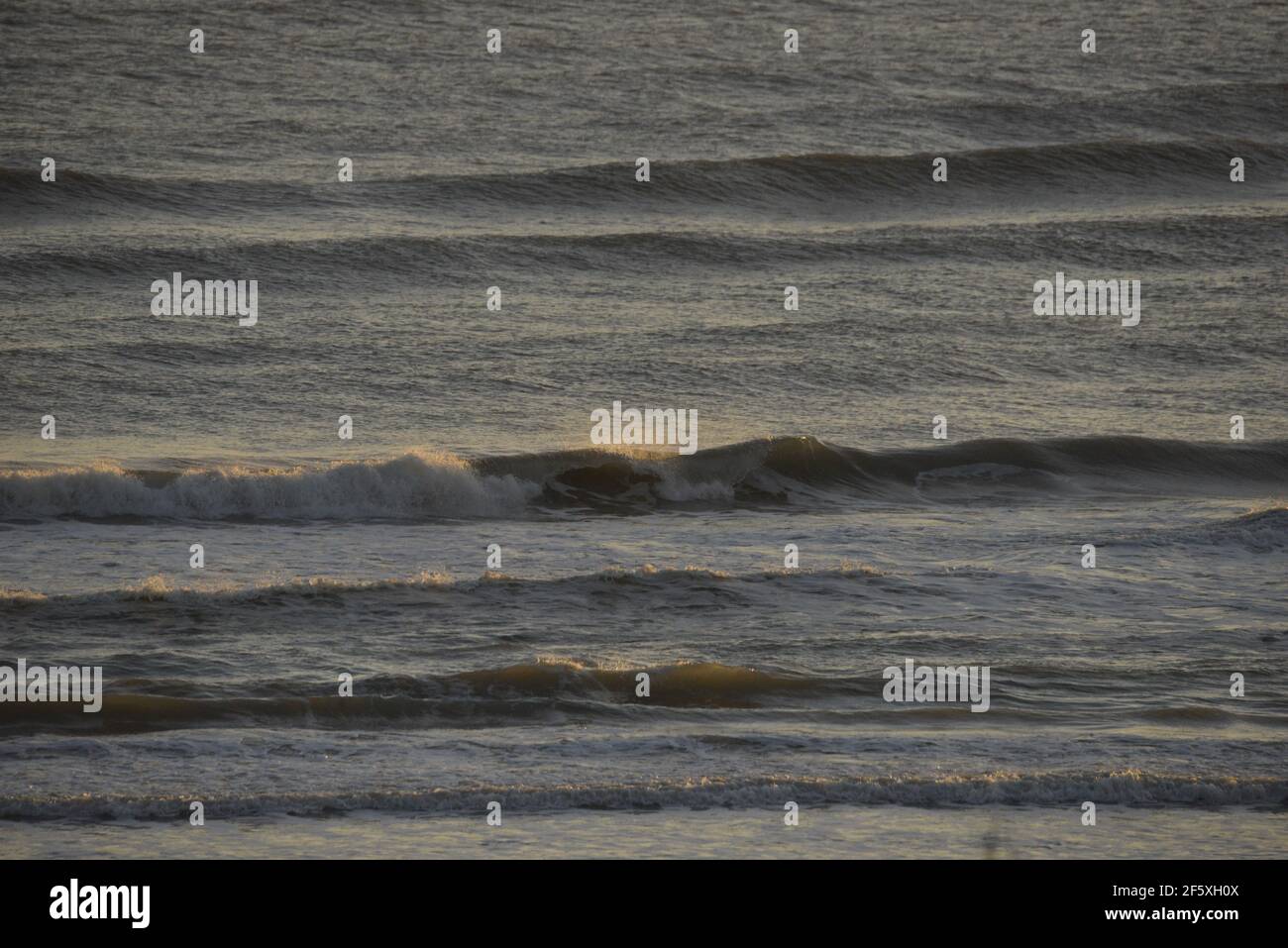 Beach and ocean waves on a Texas beach Stock Photo