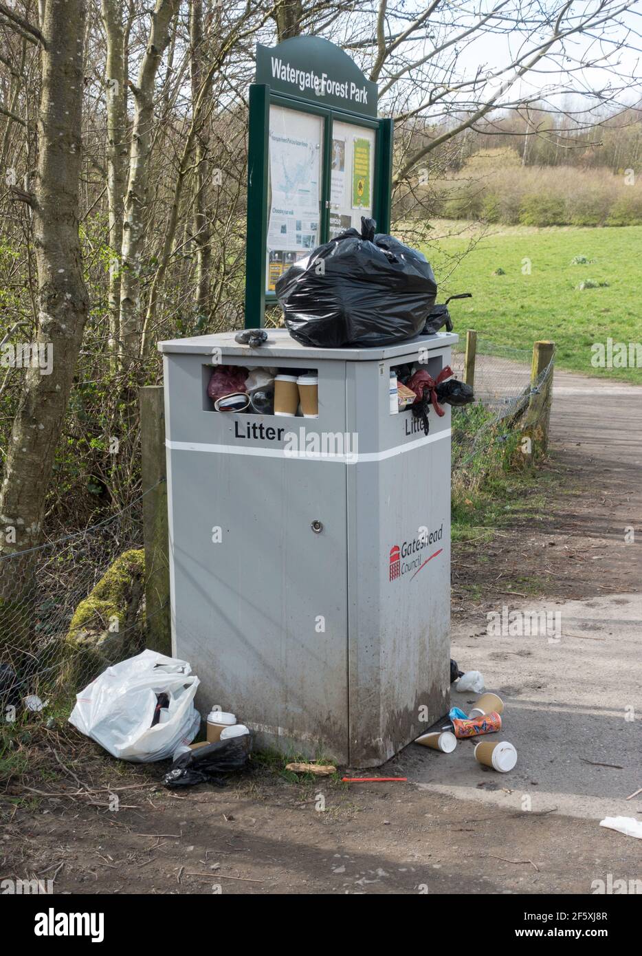 A litter bin overflowing, north east England UK Stock Photo