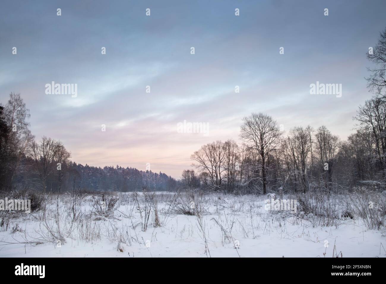 Beautiful snowy winter landscape panorama with sun Stock Photo - Alamy