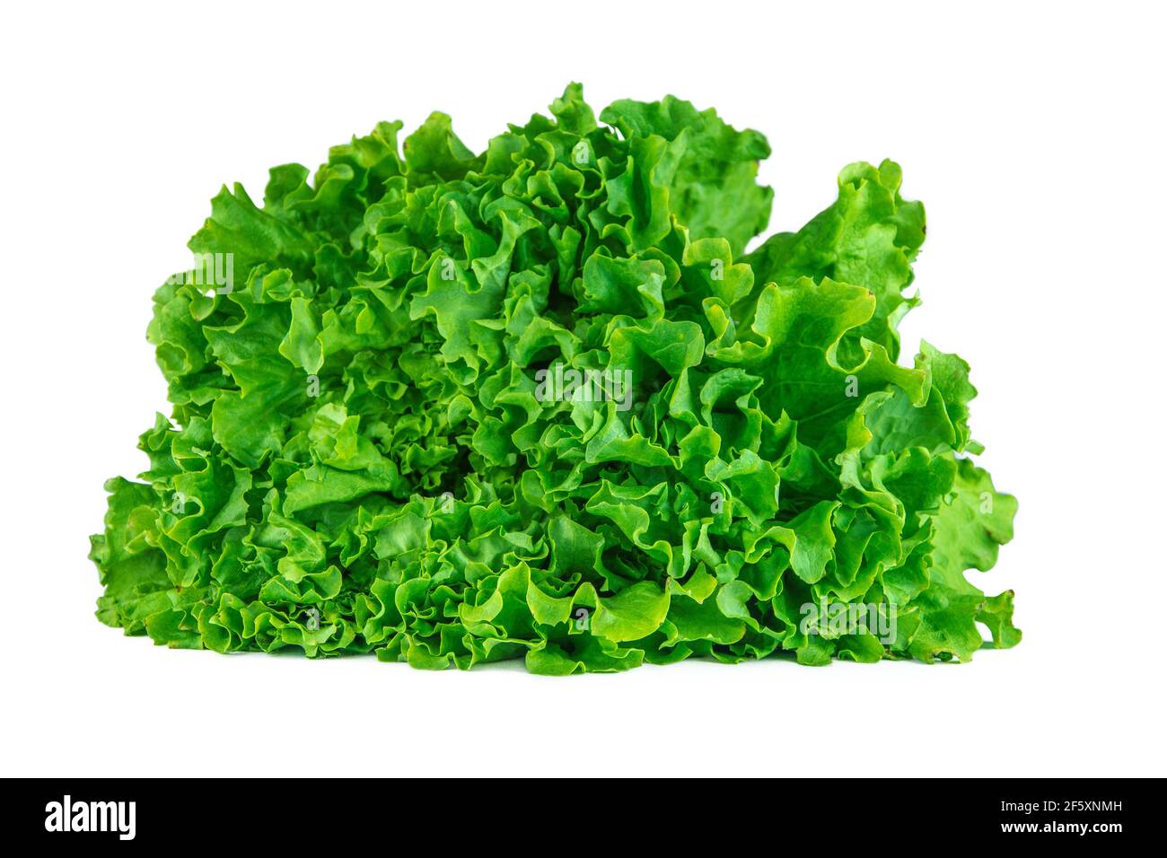 Wet lettuce salad Cut Out Stock Images & Pictures Alamy