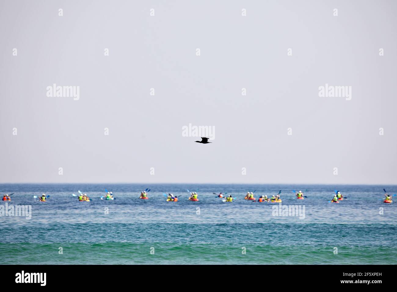 sport paddling on the ocean Stock Photo
