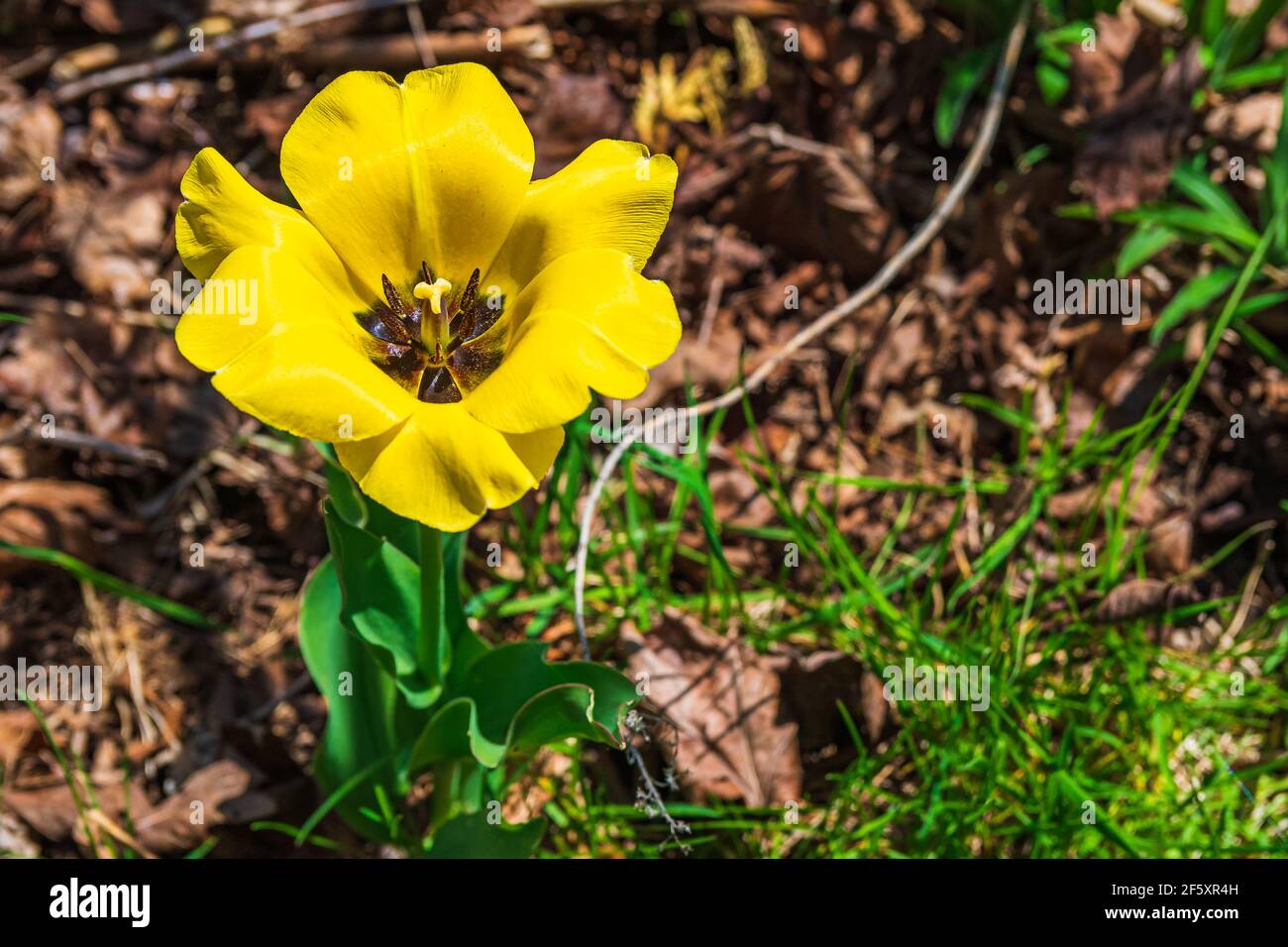 Owen beach hi-res stock photography and images - Alamy