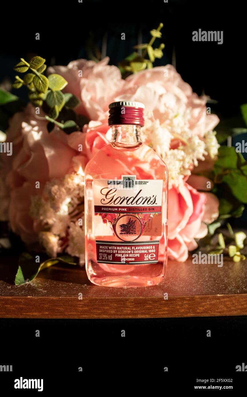 Download Gordons Pink Gin High Resolution Stock Photography And Images Alamy