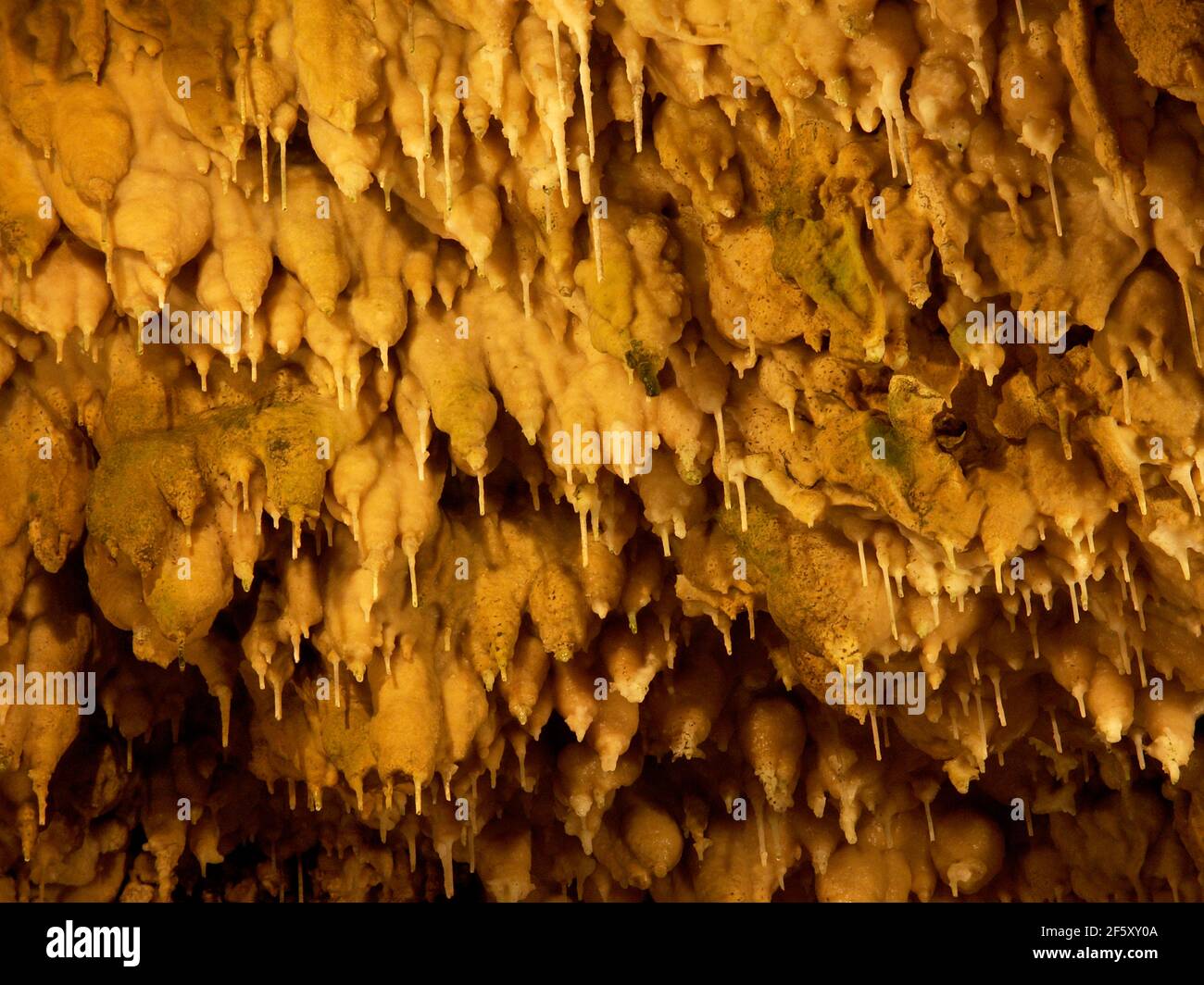 Stalactites in the Charlotten Cave (Charlottenhöhle) near Hürben (part of Gingen) on the Swabian Alps, Baden-Württemberg, Germany Stock Photo