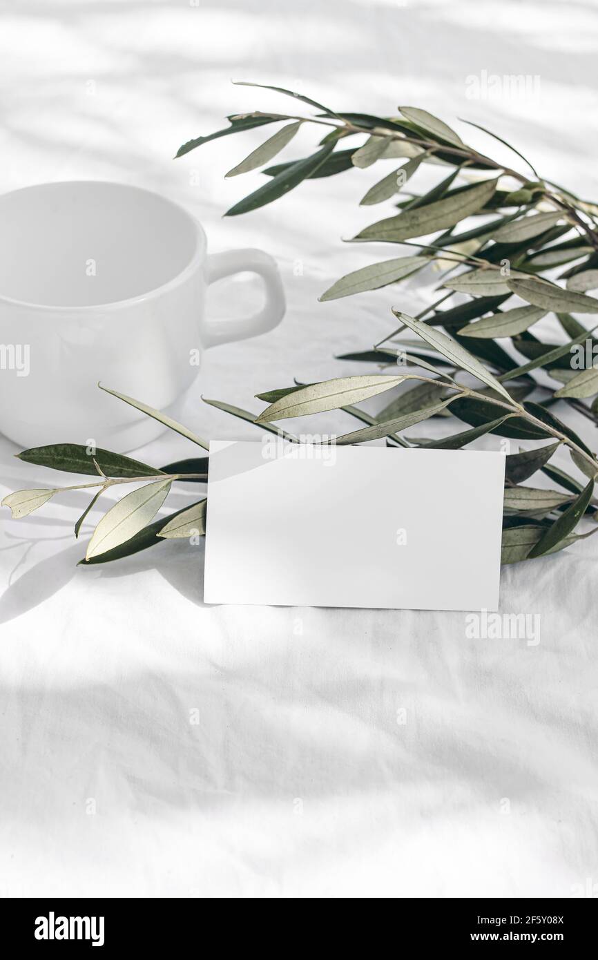 Summer blank business card mock-up scene. Cup of coffee and green olive tree branches. White linen table cloth background in sunlight, long shadows Stock Photo