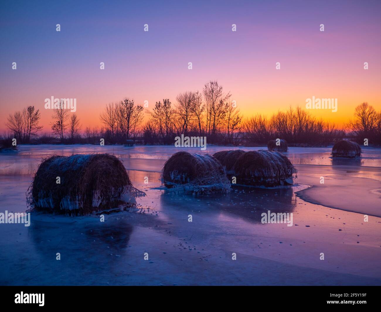 Hay bale forgeted on field covered by ice. Agriculture field winter time on farm land Stock Photo