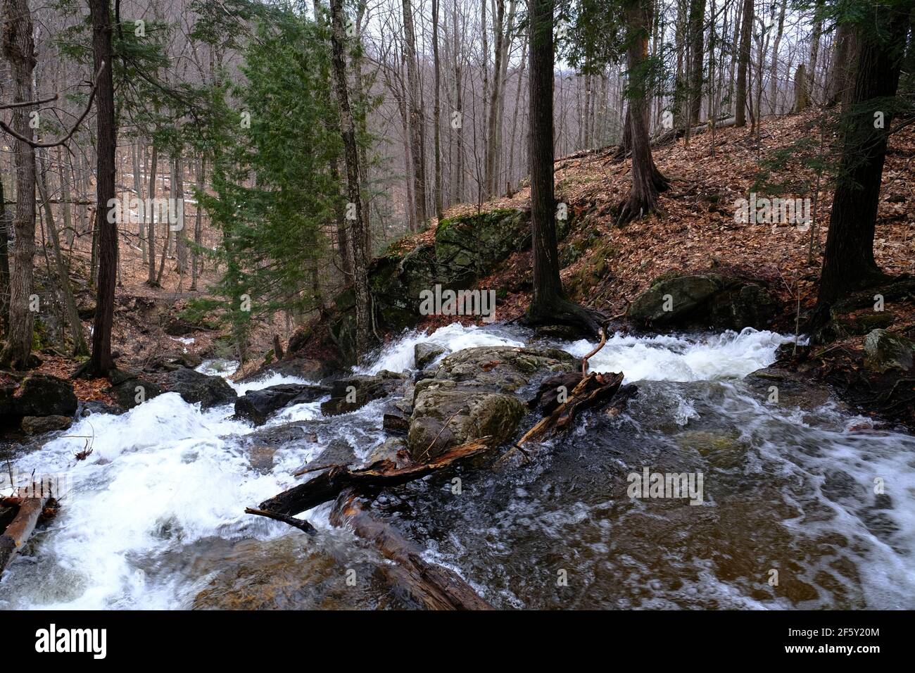 At the top of a waterfall, swollen by snow melt, in a Quebec forest in early spring, Gatineau, Quebec, Canada. Stock Photo