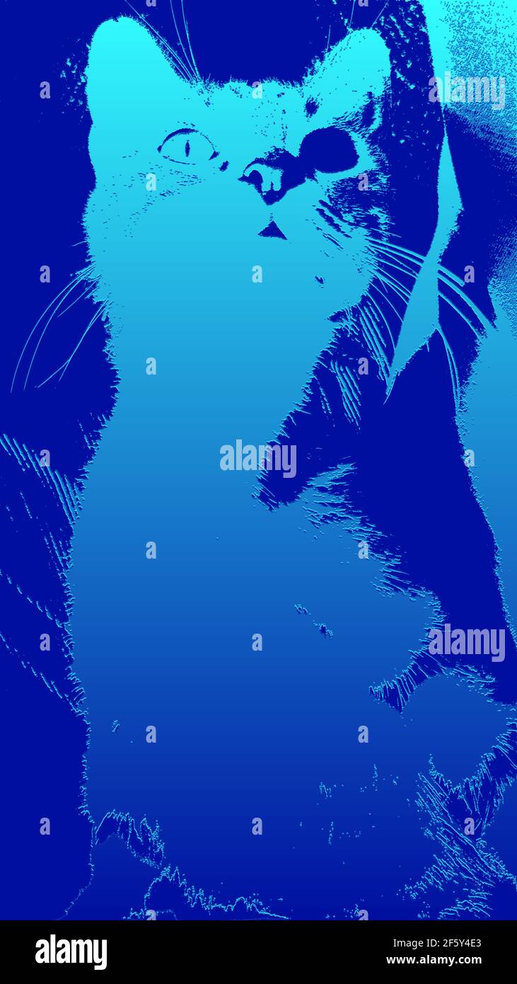 Turquoise, and blue, colored ,modern ,cat ,silhouette Stock Photo