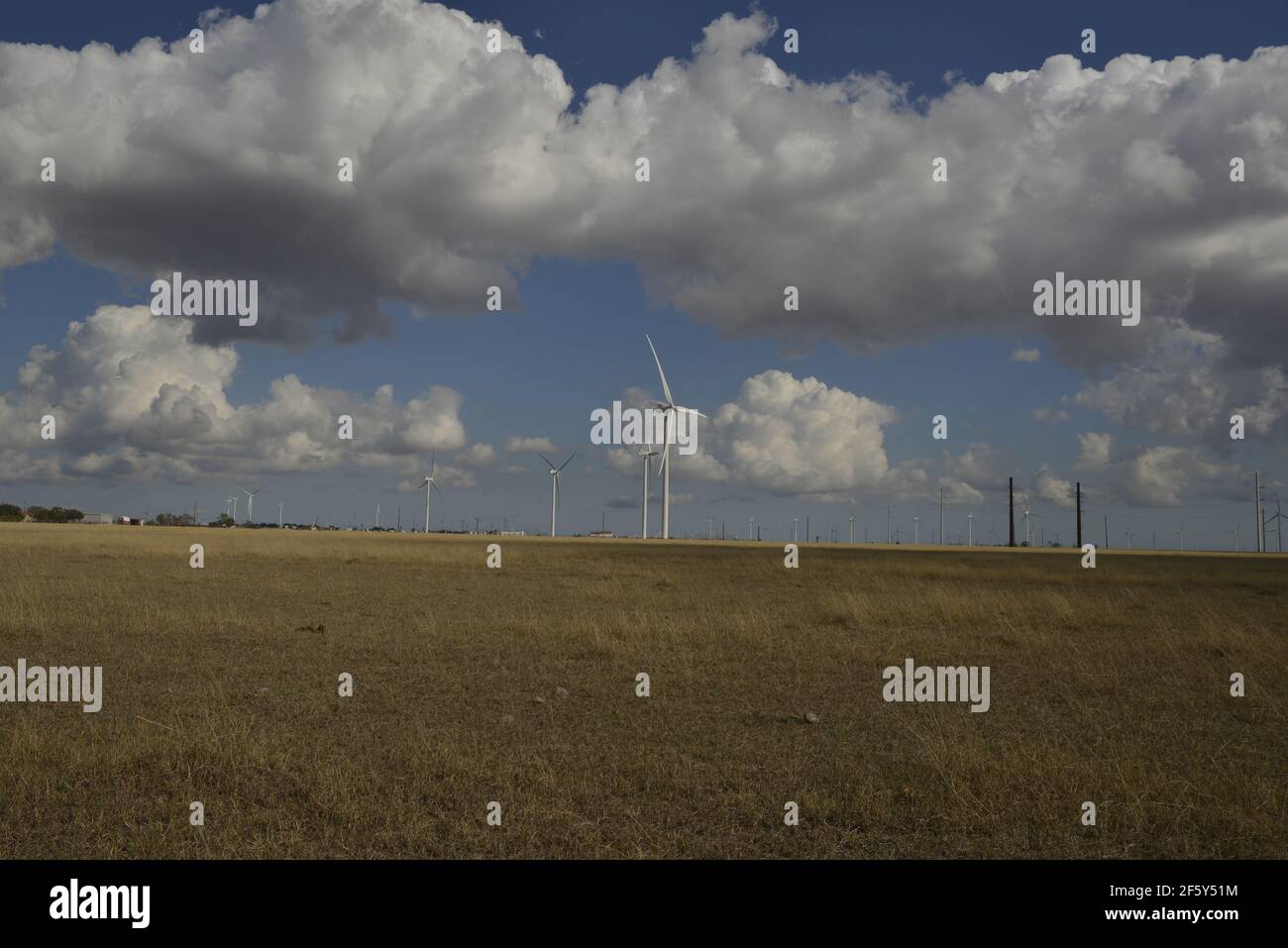 Wind farm in south texas Stock Photo