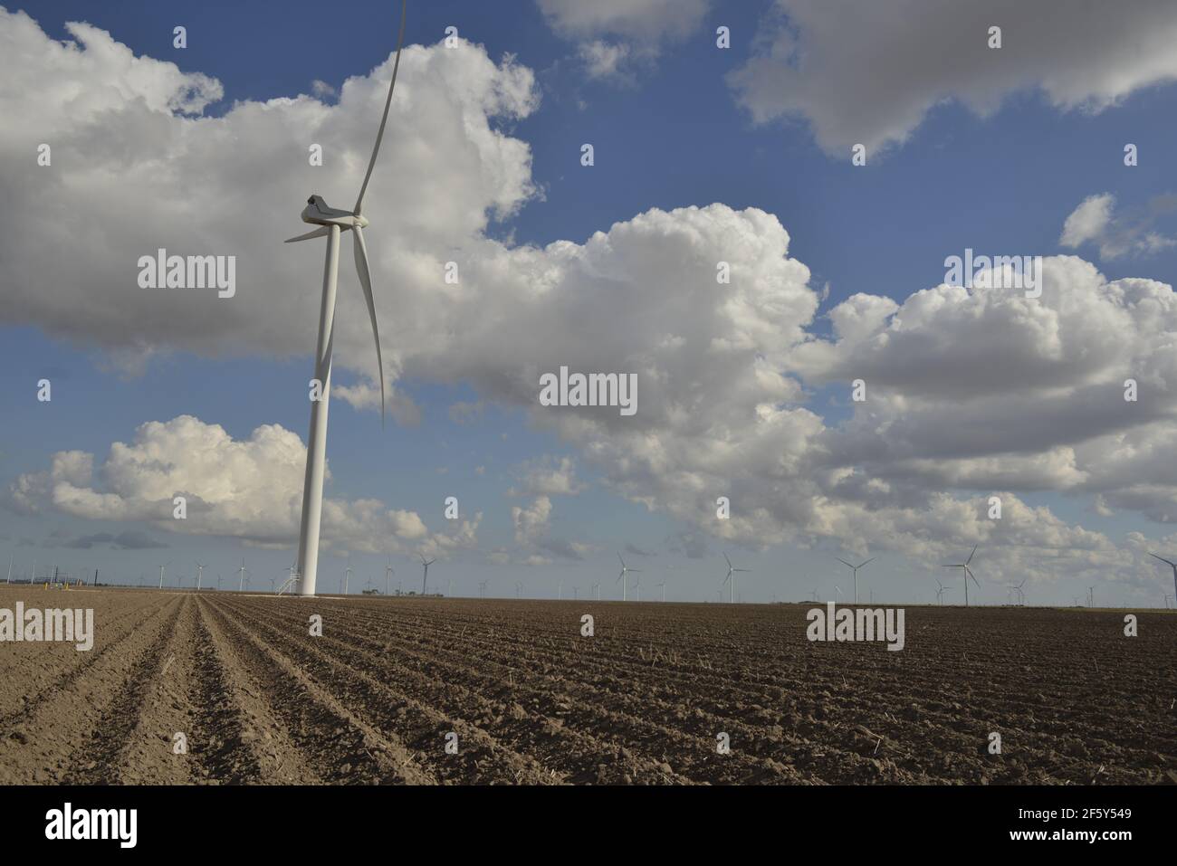Wind farm in south texas Stock Photo