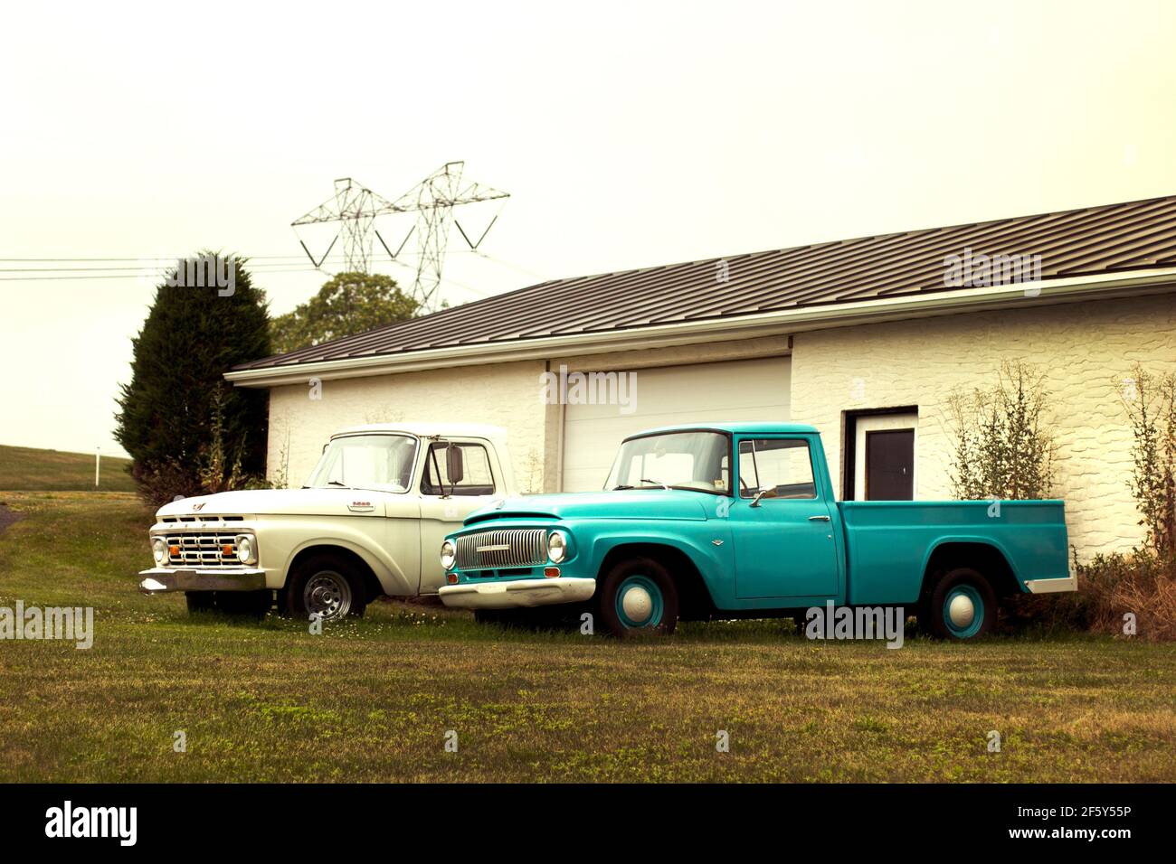 A pair of mid century old ford trucks in turquoise blue and white sit facing left in the grass Stock Photo