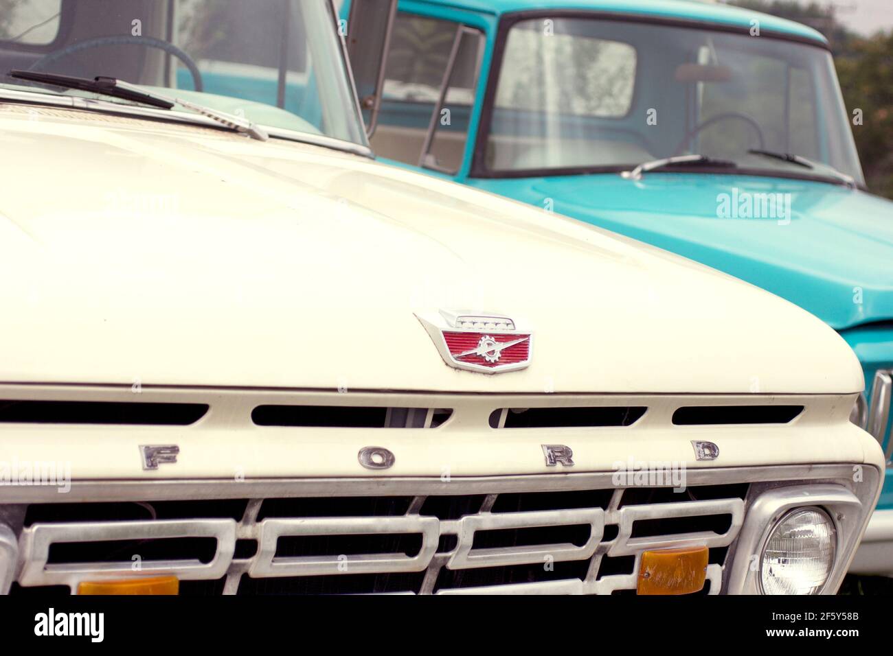 Close up of mid century collectors white ford truck front, hood and grill Stock Photo