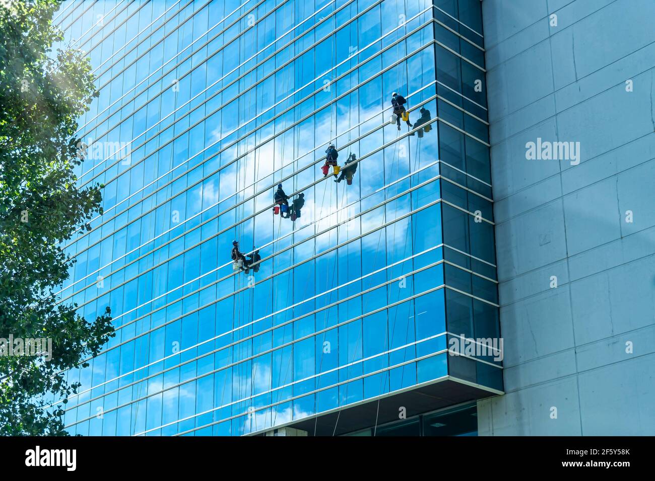 Glass cleaner working hanging from some ropes Stock Photo