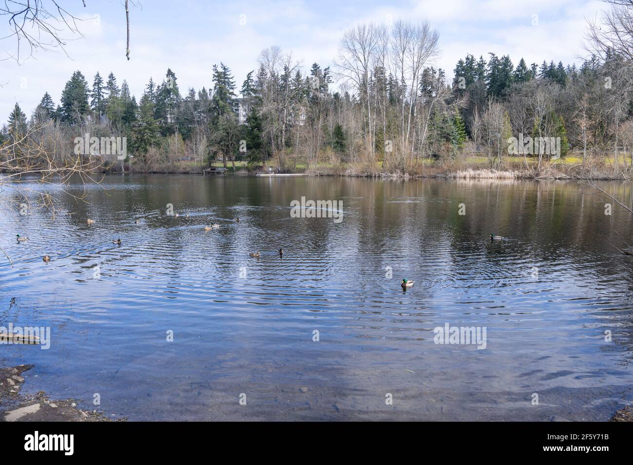 Lake Boren Park is a popular community park that is situated near the Coal Creek Parkway. It is