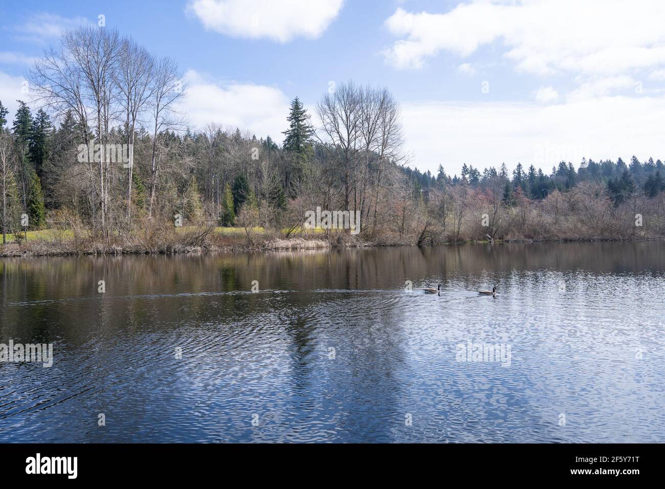 Lake Boren Park is a popular community park that is situated near the