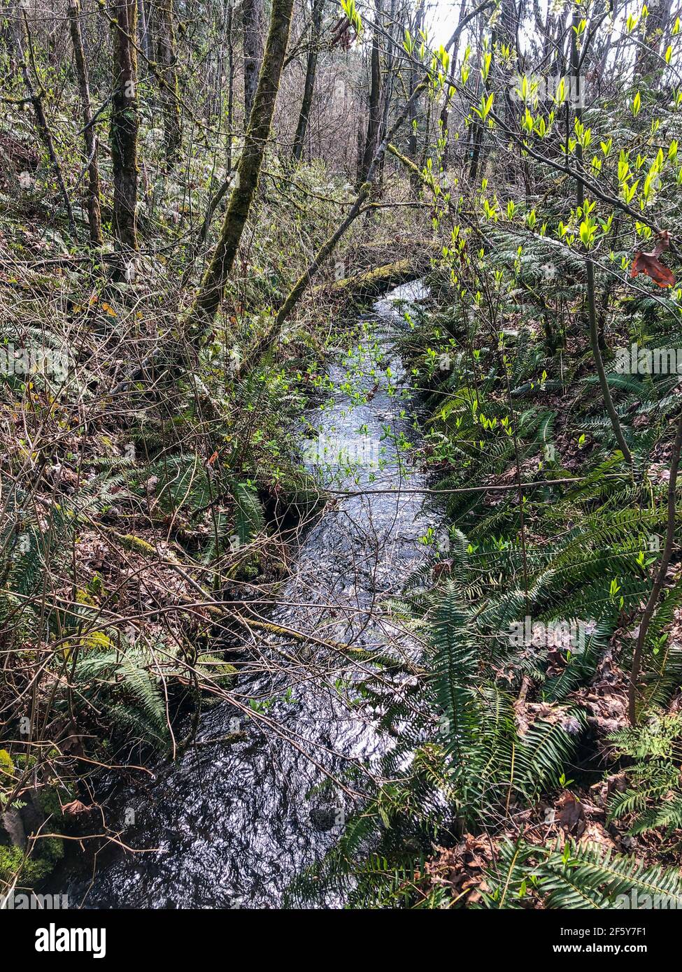 Lake Boren Park is a popular community park that is situated near the