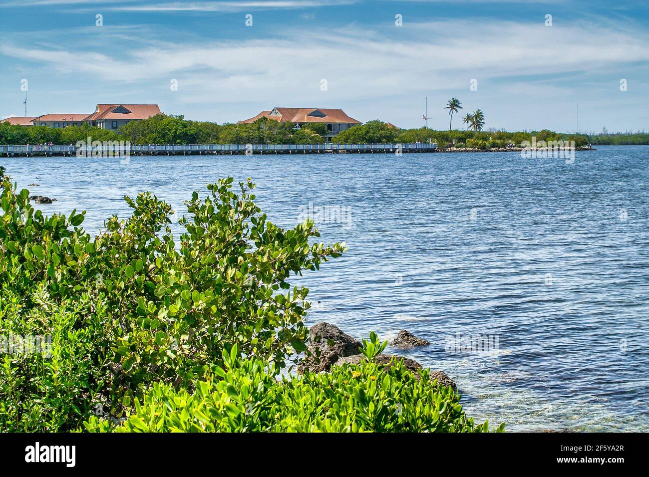 The Dante B. Fascell Visitor Center seen from the shore of Biscayne Bay at Biscayne  National Park in Miami, Florida Stock Photo - Alamy, image size:1300x956