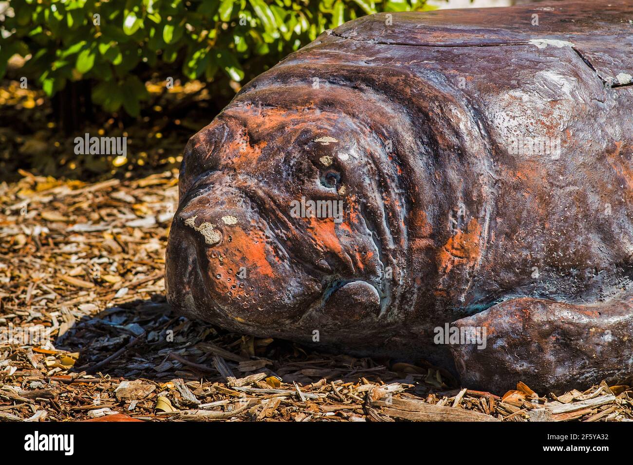 Metal manatee sculpture outside the Dante B. Fascell Visitor Center at