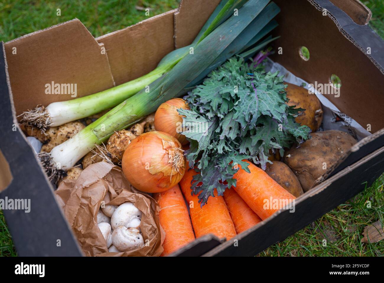 Vegetable box containing assorted healthy organic vegetables Stock
