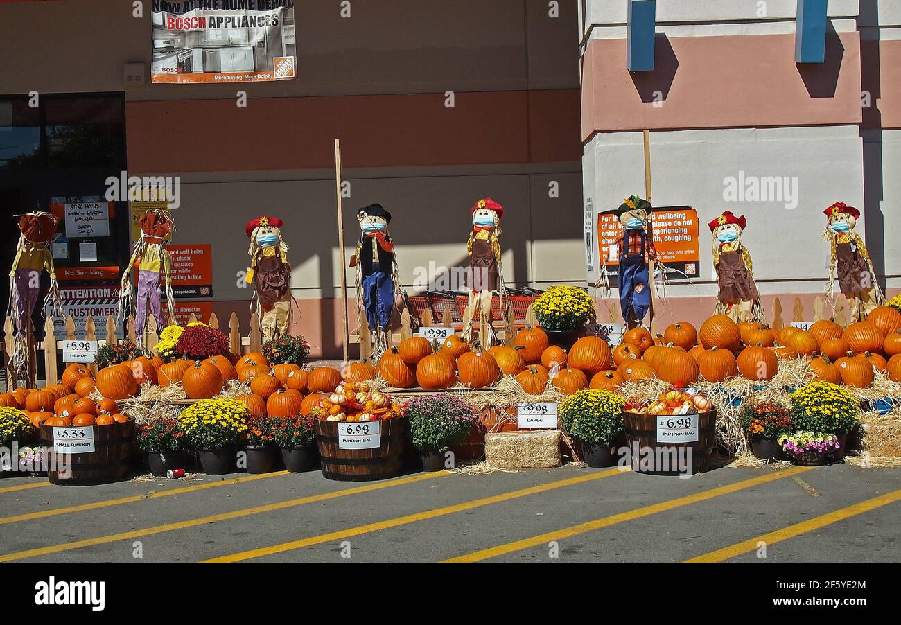 2020 Halloween pumpkins for sale and scarecrows with pandemic masks at Home Depot store in Union City, California, Stock Photo