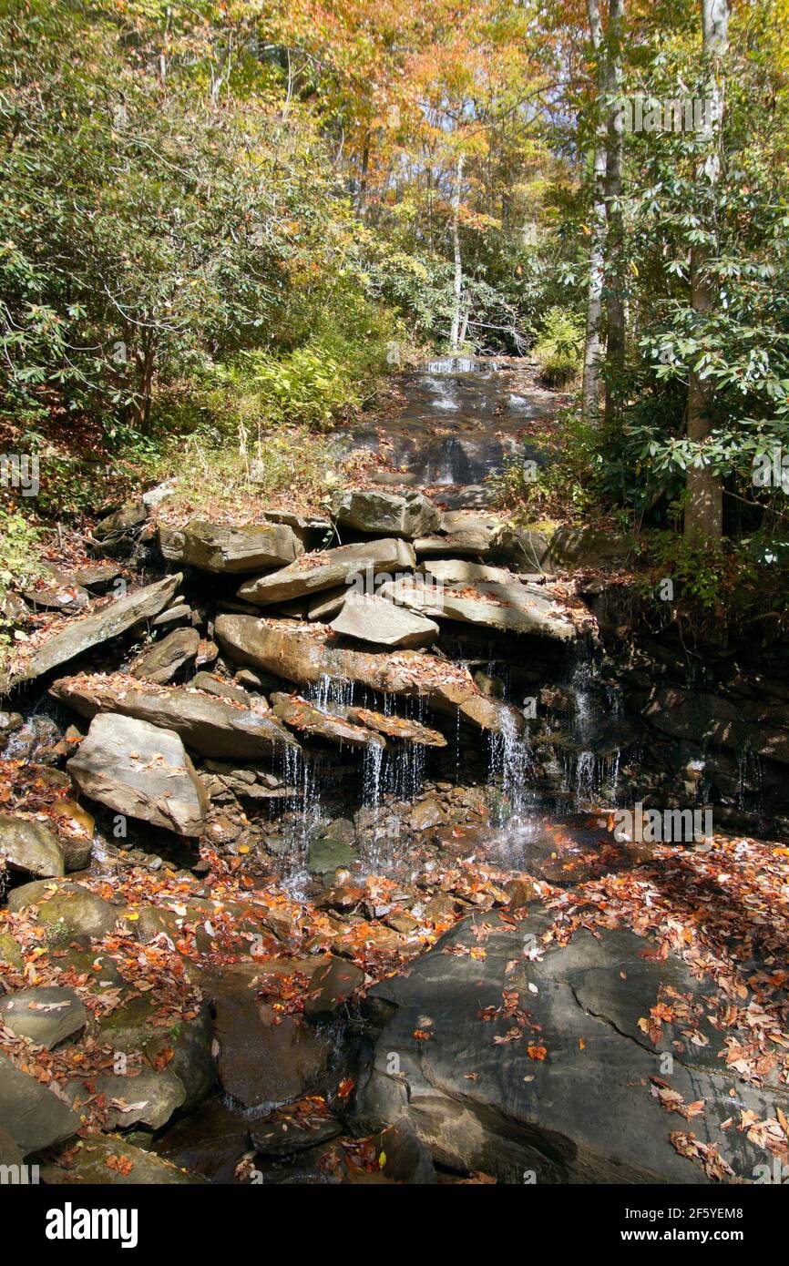 Pure mountain spring water trickling down rocks surrounded by colorful autumn woods Stock Photo