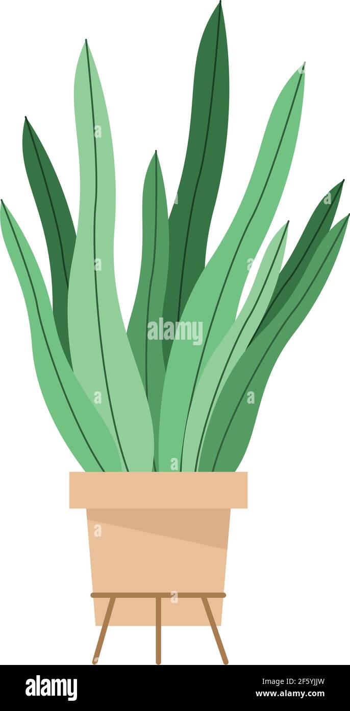 houseplant in ceramic pot icon Stock Vector Image & Art - Alamy