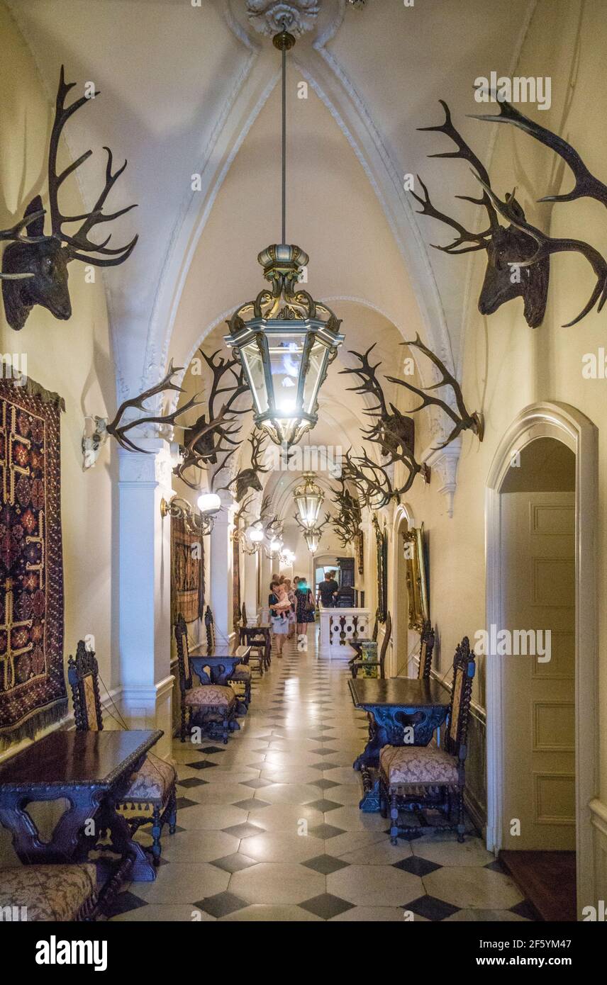 corridor decorated with hunting trophies at renaissance style Pless Castle, Pszczyna (Pless) Silesia, southern Poland Stock Photo
