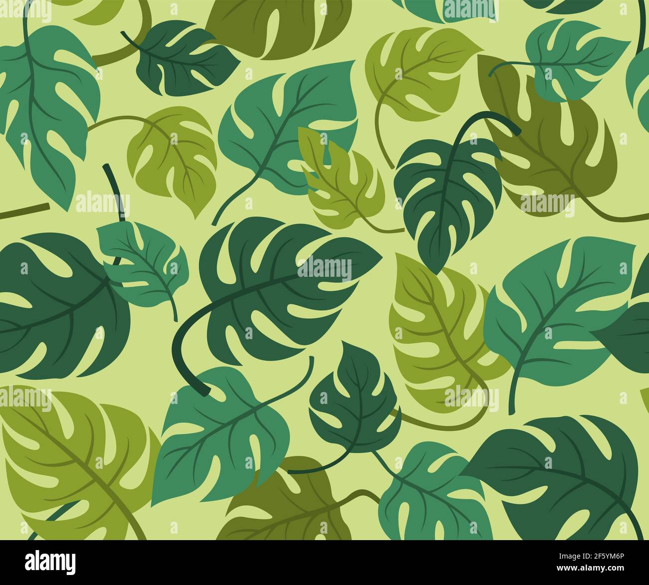 Seamless Pattern Wallpaper of Monstera Leaves for the Tropical Plant ...