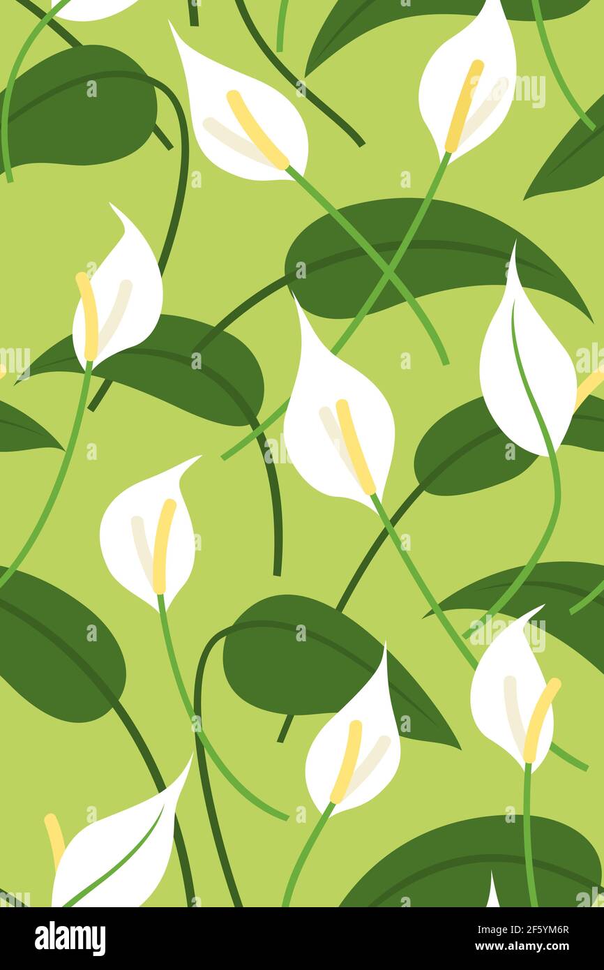 Seamless Pattern Wallpaper of Peace Lily Flowers and Leaves for the