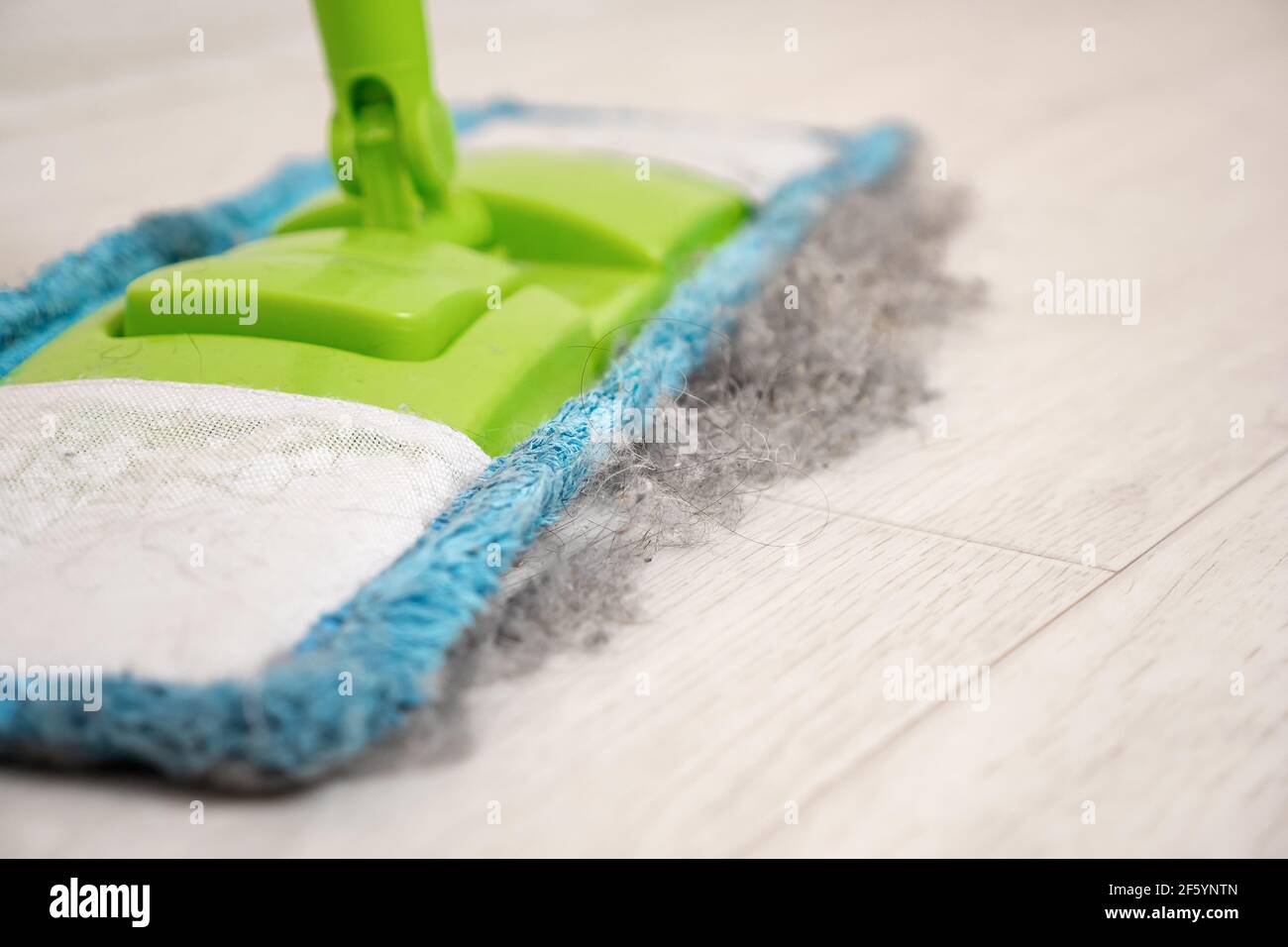 Closeup of a mop with collected debris from hair, wool, dust Stock