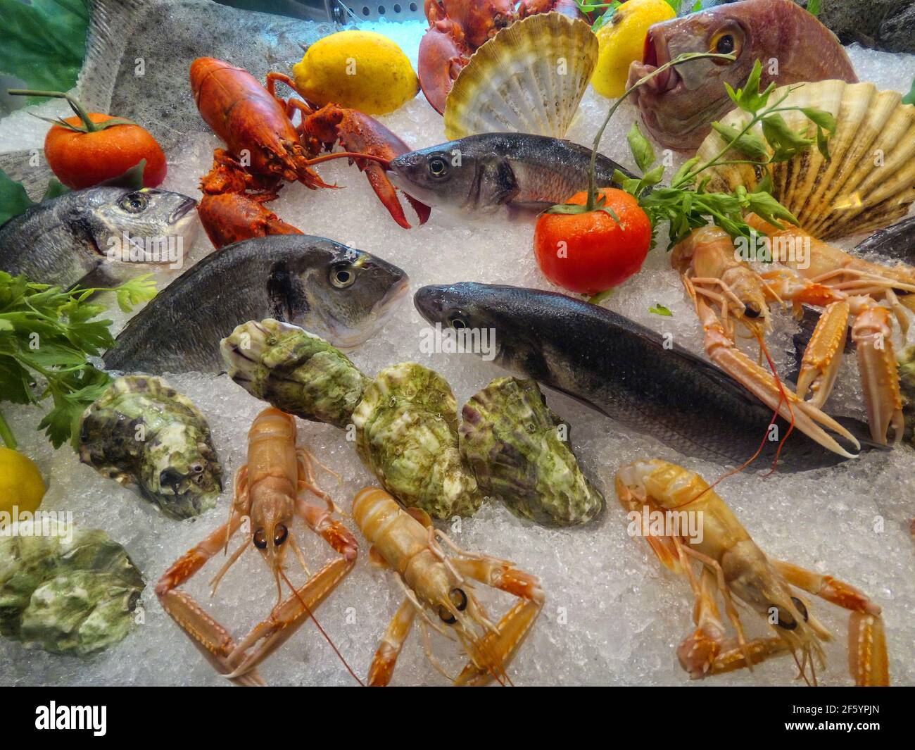 Fresh fish and assorted sea food on the market shelf Stock Photo