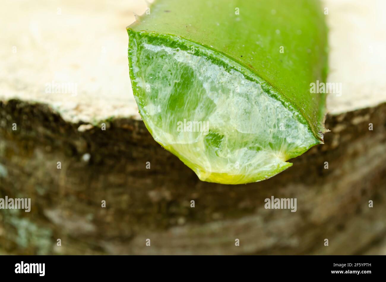 Sinkle bible hires stock photography and images Alamy