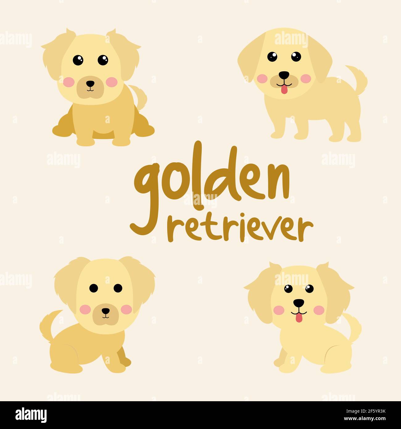 Golden retriever pedigree Stock Vector Images Alamy