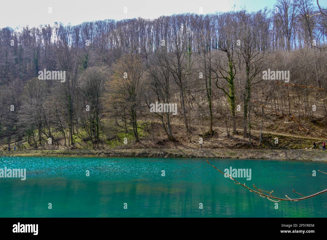 Beautiful clear lake with trees hi-res stock photography and images - Alamy