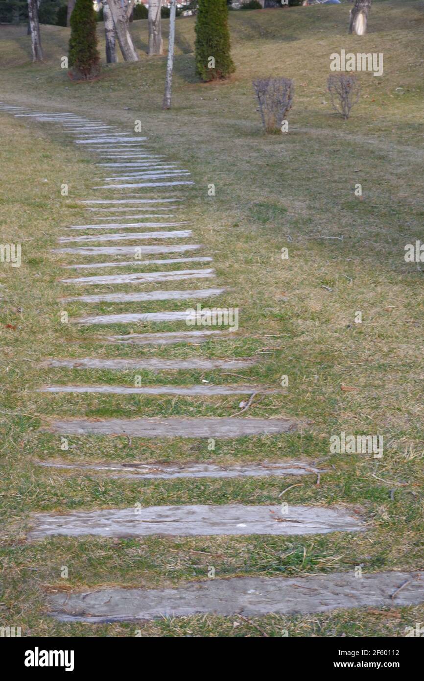 Wooden Walking Path in Forest Stock Photo - Alamy
