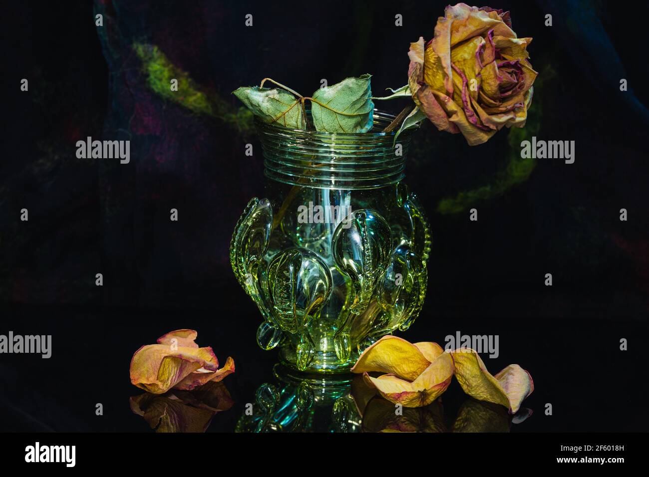 rose,dry rose, close up view, still life, wilted flower, detail shot, Nahaufnahme, Detailaufnahme, historische Vase, Vergänglichkeit, transience, Stock Photo