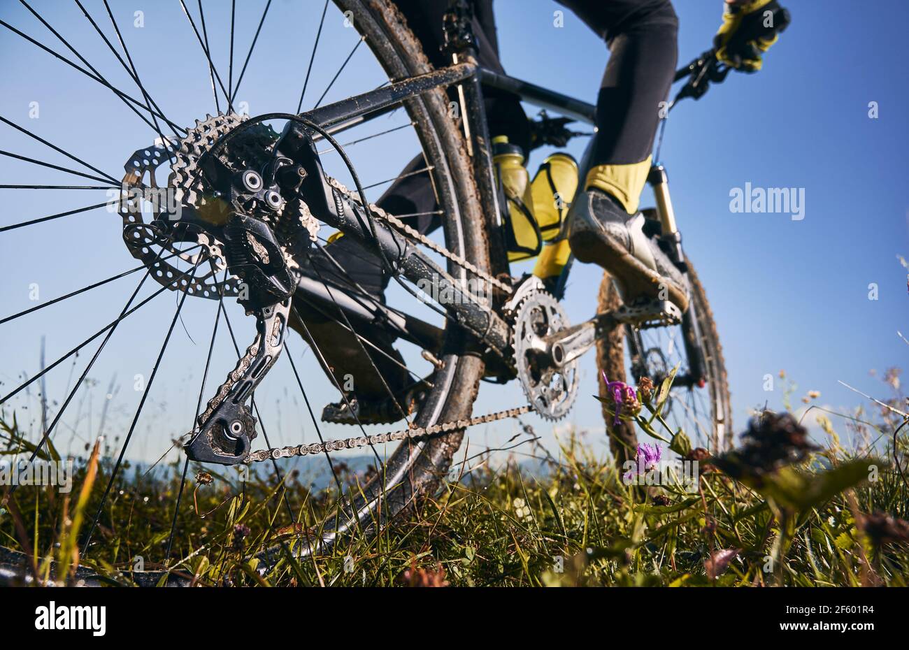 Young man riding a mountain bike downhill style Stock Photo - Alamy