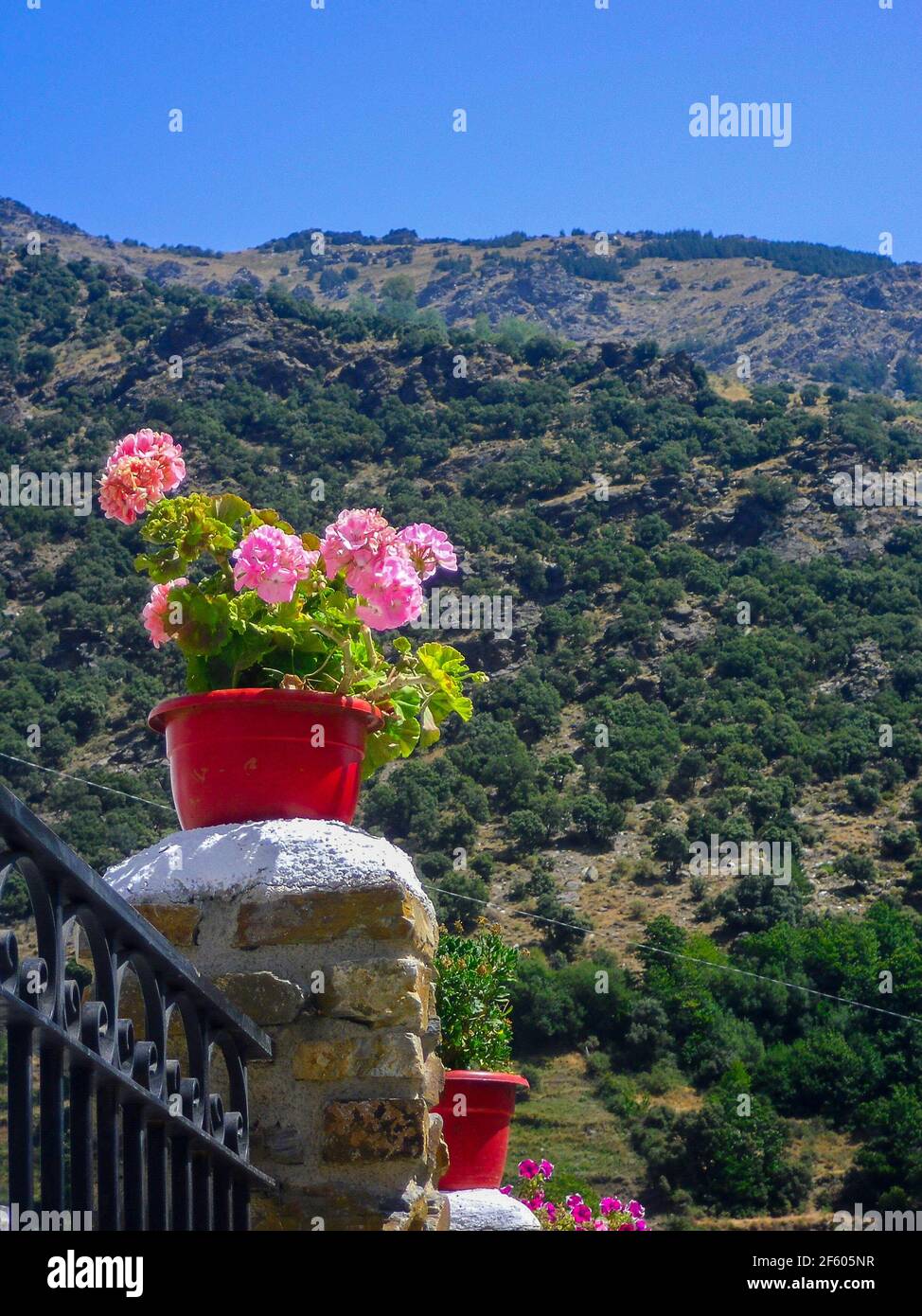flowers in red plant pot in spanisch alpujarras Stock Photo
